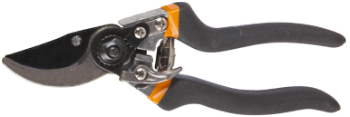 Pruning Shears with Angled Blades