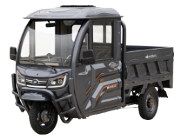 Voinicu Electric Cargo Tricycle with Closed Cabin TCB1500