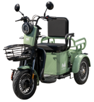 Deceneu Electric Passenger Tricycle TRP500