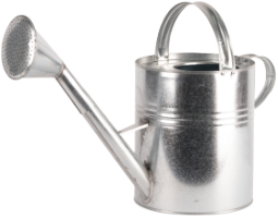 Galvanized Watering Can EvoTools®