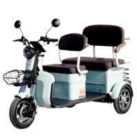 Electric Passenger Tricycle with Double Bench Seat TRP1200 Scorilo