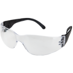 Safety Glasses 2004